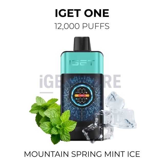 Iget one 12000 puffs mountain spring mint ice