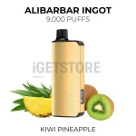 Alibarbar Ingot 9000 Puffs - Kiwi Pineapple